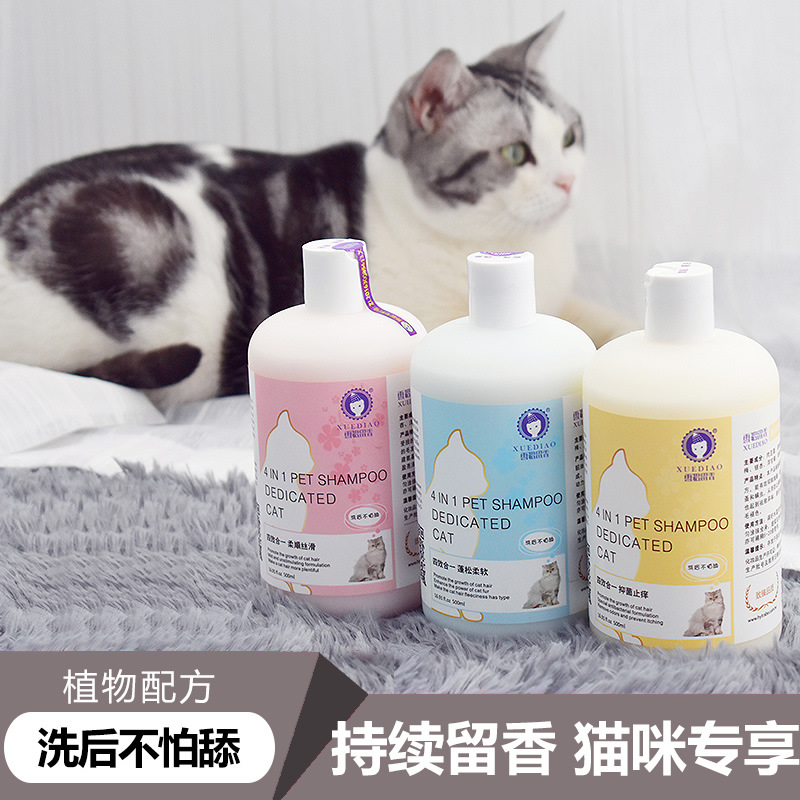 邢台多丽网络科技有限公司
