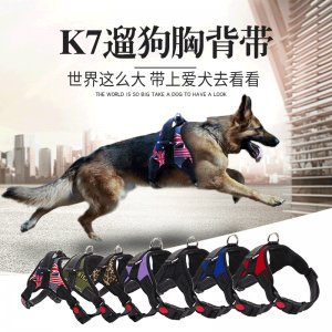 宠物牵引绳狗链子OEM/ODM代加工