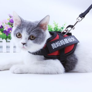 义乌市亦宠宠物用品有限公司