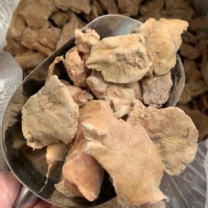 日照贝纳宠物食品有限公司