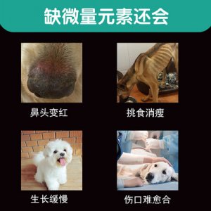 宠物狗狗猫咪微量元素贴牌定制代加工