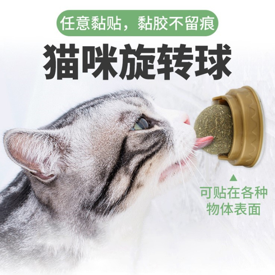 烟台派滋汪特宠物用品有限公司