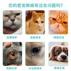 猫眼药水代加工贴牌OEM/ODM