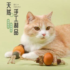 LAAMO守爱 猫咪磨牙棒