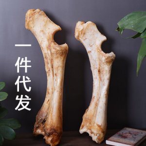 义乌市宠七宠物用品有限公司