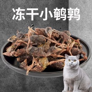冻干猫零食冻干小鹌鹑