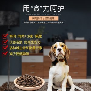 鲜肉酶解全犬泰迪狗粮