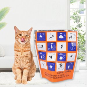 网红猫糖