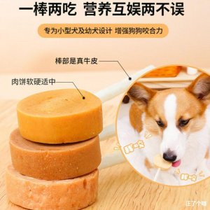 深圳市汪了个喵宠物服务有限公司