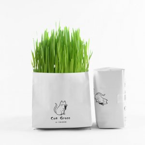 义乌市喵迦宠物用品有限公司