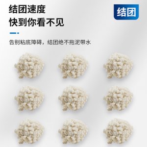 山东宠哆哆宠物用品有限公司