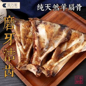 平阳县恒炜宠物营养科技有限公司