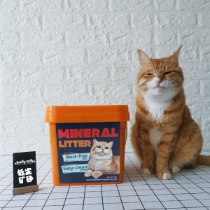 艾米丽低尘矿物猫砂7kg
