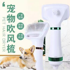 温州丁宝工艺品有限公司