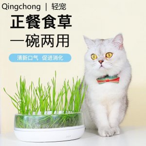 深圳市哎呦网络科技有限公司