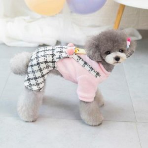 狗衣服小狗体恤宠物服装