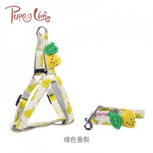 中小型外出狗狗牵引安全绳