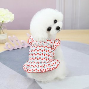 宠物衣服小狗裙子春夏泰迪雪纳瑞小型犬