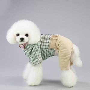 狗服装