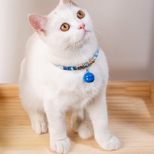 猫咪铃铛