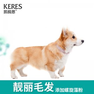 六安本厚商贸有限公司