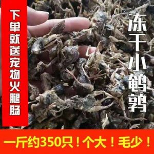 莆田市绅挪贸易有限公司