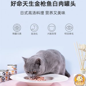 大连士申达科技有限公司