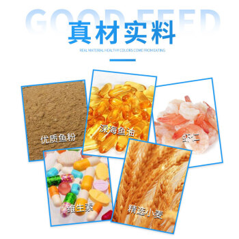 广州板板儿水族用品有限公司