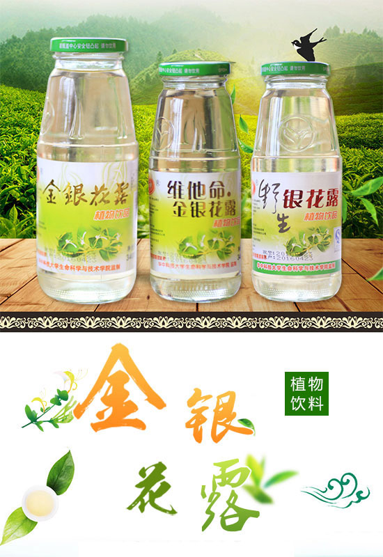 楚神金银花露1.jpg