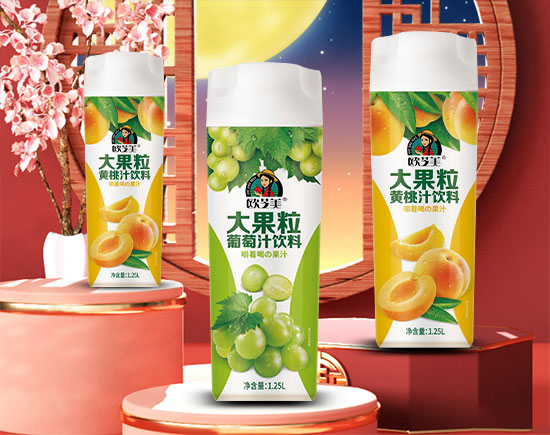 欧芝美大果粒果汁饮料.jpg