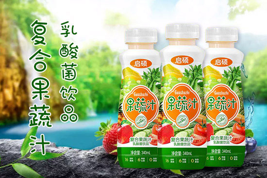 启硕复合果蔬汁乳酸菌饮品.jpg