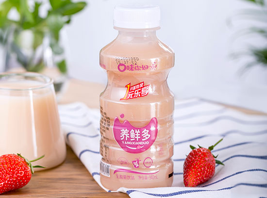 养鲜多乳酸菌饮品1.jpg