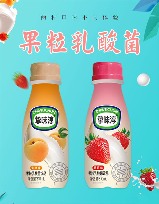 挚味淳果粒乳酸菌1.jpg