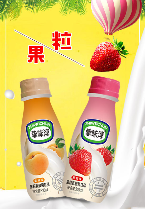 挚味淳果粒乳酸菌.jpg