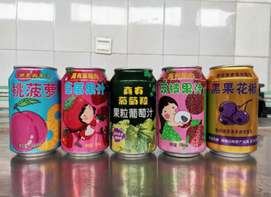 真有果粒果汁饮料.png