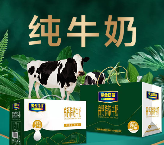 黄金搭档纯牛奶.png