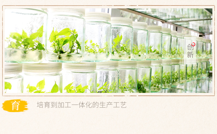 罗汉果粒粒茶18条_06.jpg