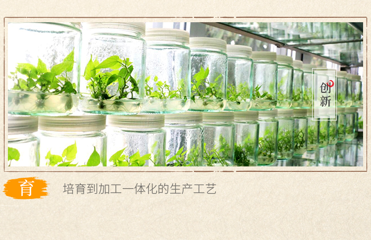 风味+茶膏2片_06.jpg