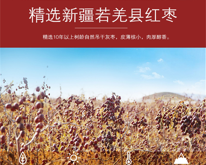 详情页_副本5.jpg