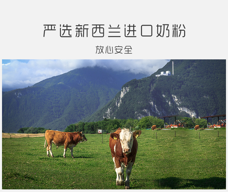 mini纯脂巧克力_05.jpg