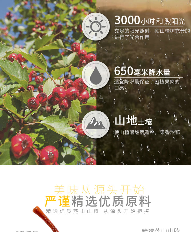 栗源多果多滋238g山楂罐头简介_07.jpg