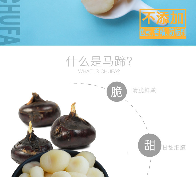 栗源冰糖脆马蹄简介_02.jpg