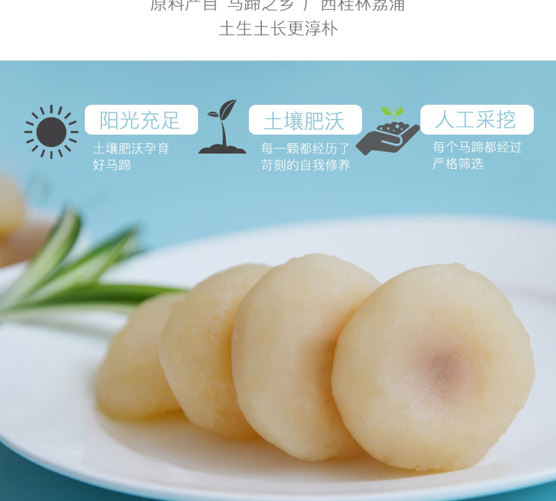 栗源冰糖脆马蹄简介_04.jpg