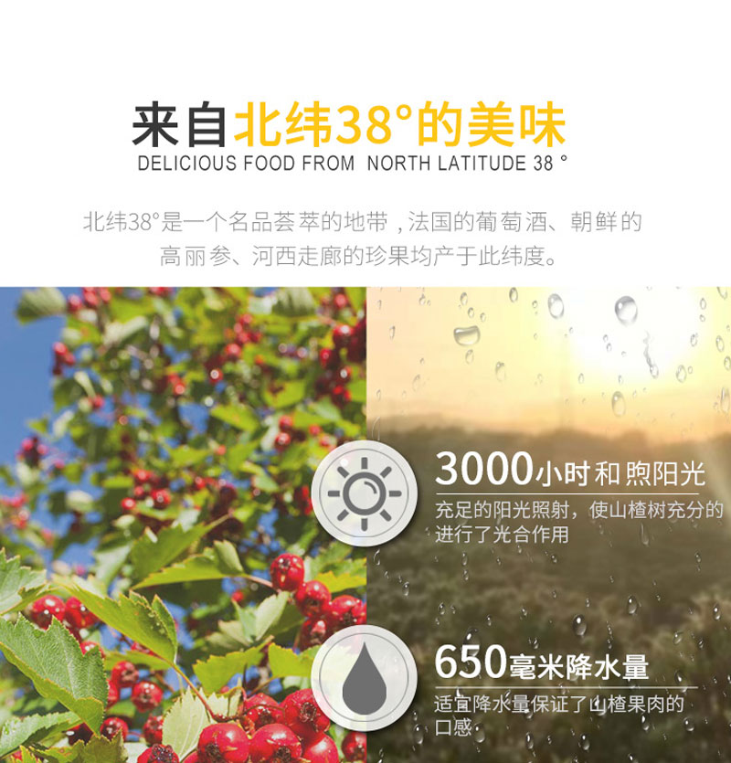栗源冰糖山楂80g简介_08.jpg