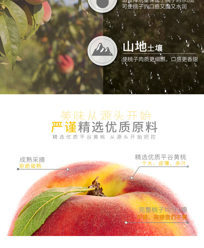 栗源多果多滋238g黄桃罐头简介_07.jpg