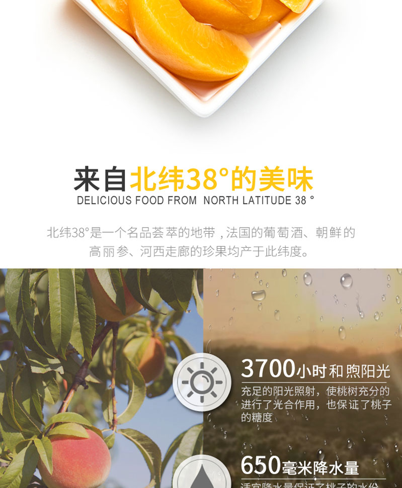 栗源多果多滋238g黄桃罐头简介_06.jpg