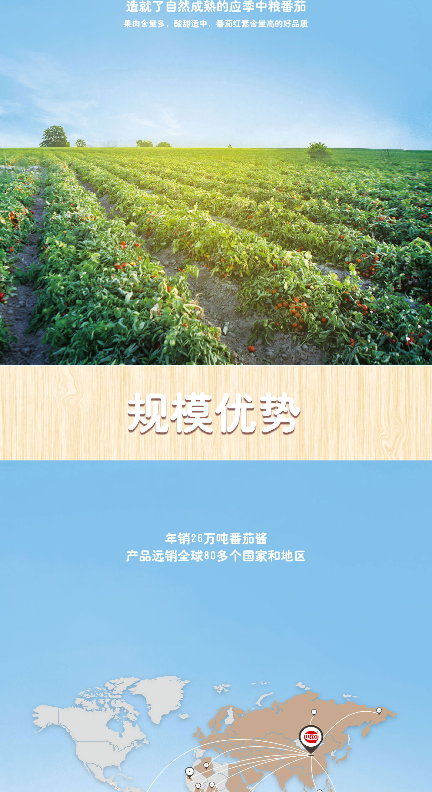 直灌番茄酱20kg简介_02.jpg