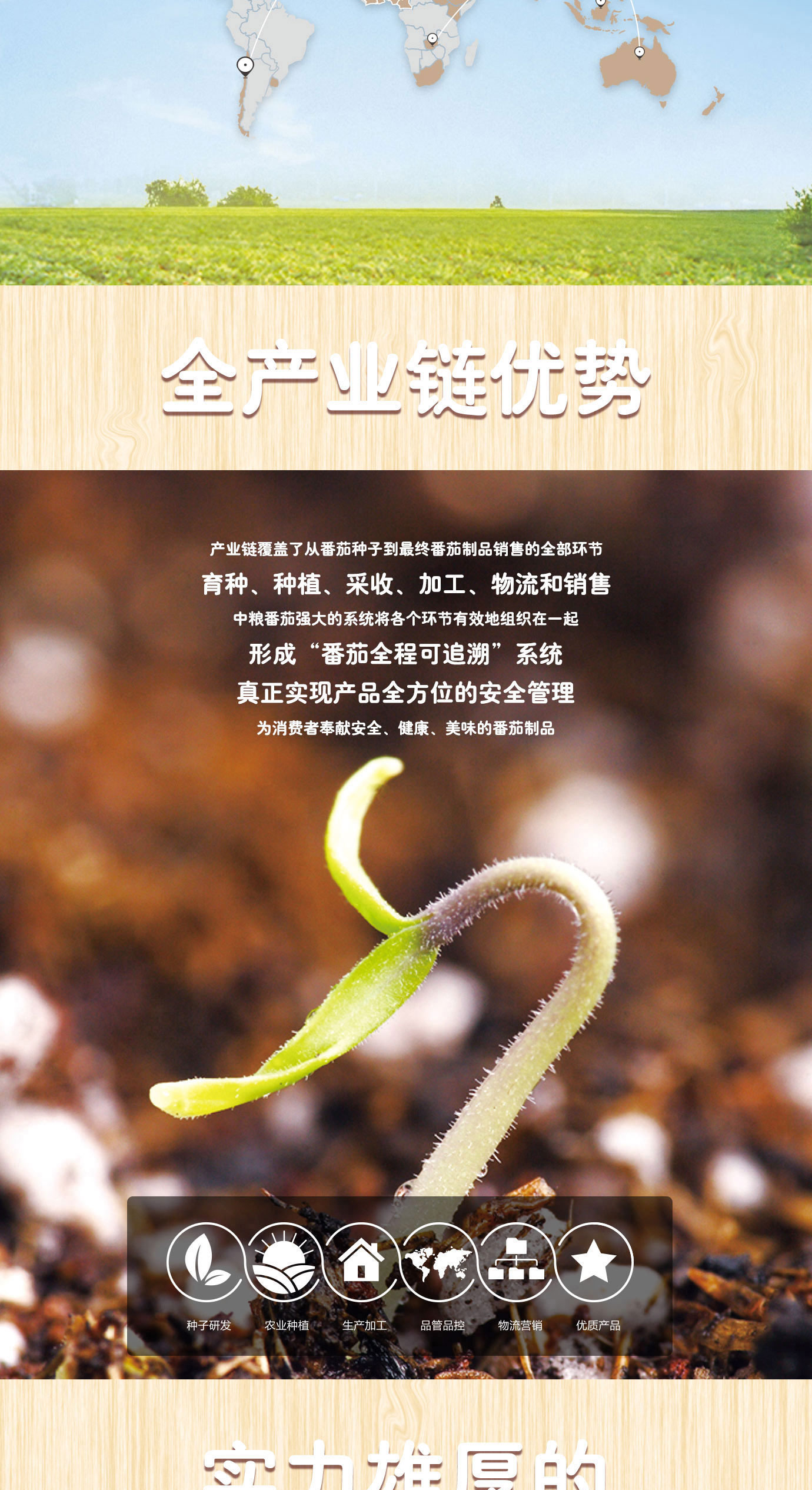 直灌番茄酱20kg简介_03.jpg