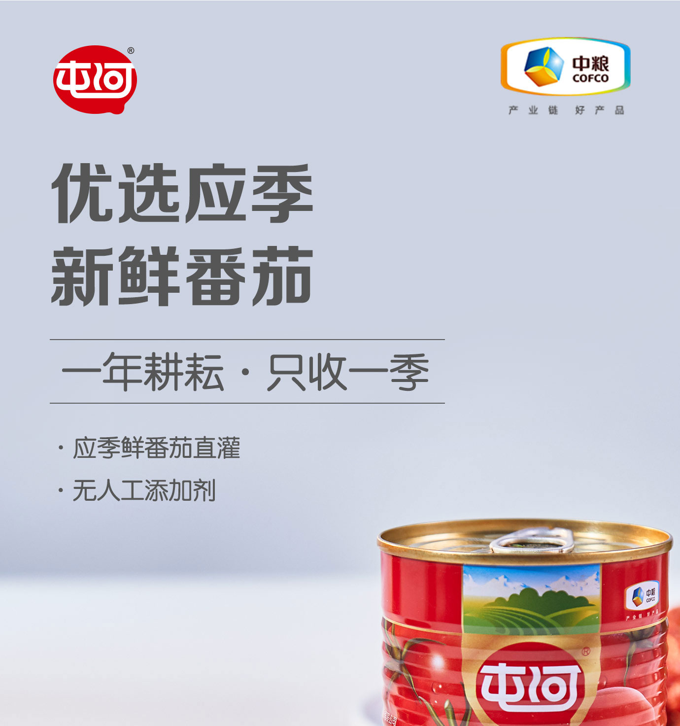 番茄丁390g简介_01.jpg