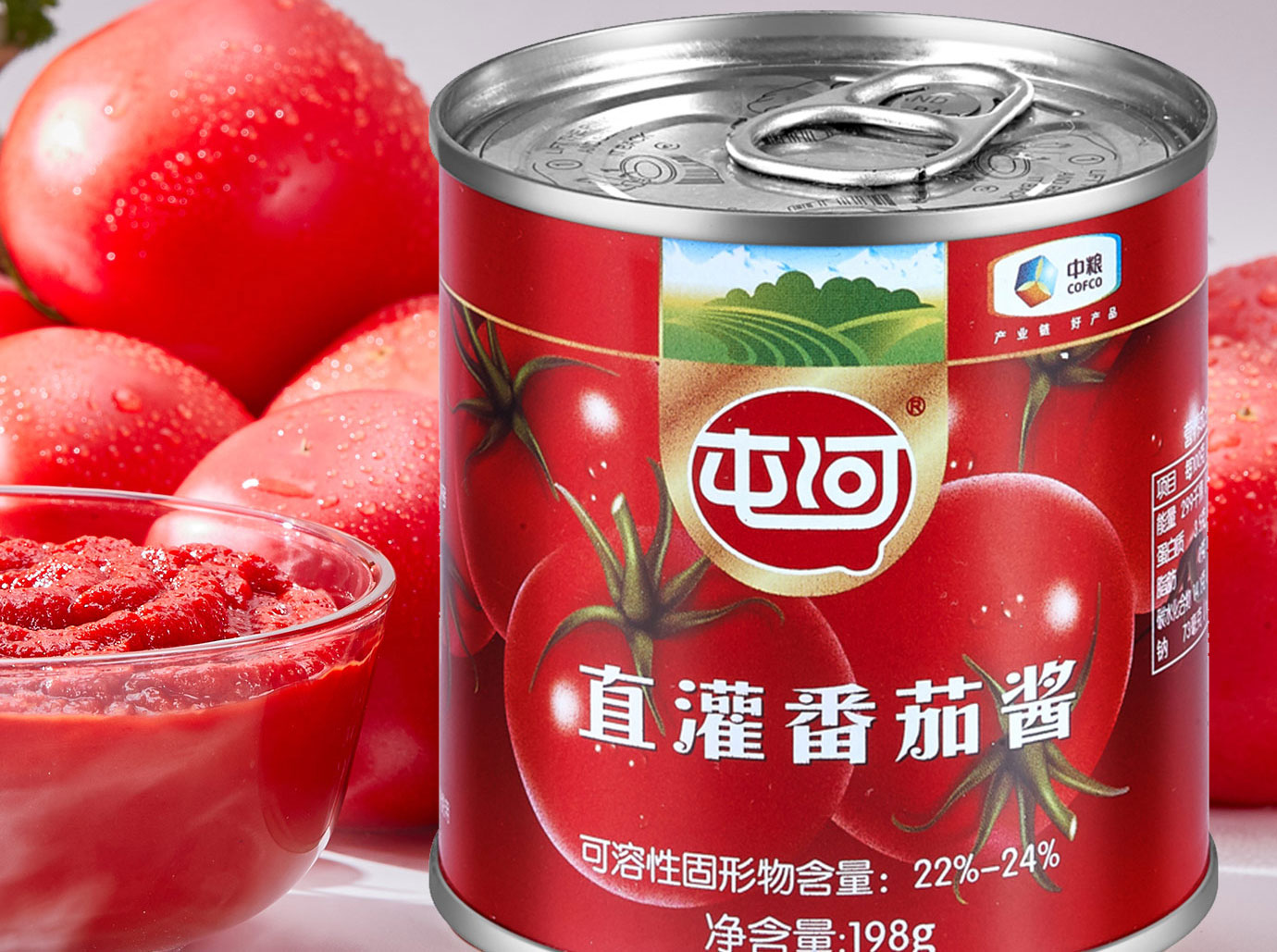 直灌番茄酱198g简介_02.jpg